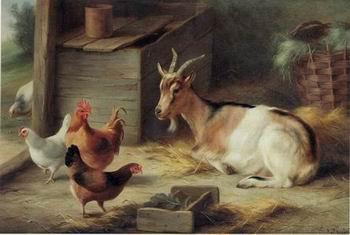 unknow artist poultry  162 Sweden oil painting art